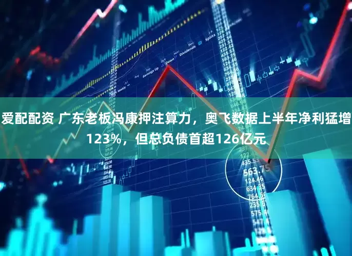 爱配配资 广东老板冯康押注算力，奥飞数据上半年净利猛增123%，但总负债首超126亿元